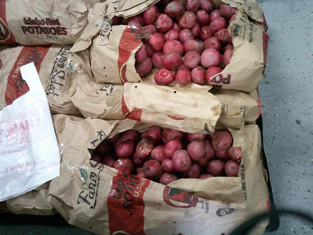 Sacks of red potatoes with rows of plastic bags on top.